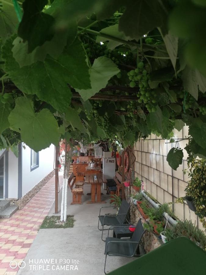 Hotel Casa Ozzy&Patty à Două Mai Extérieur photo