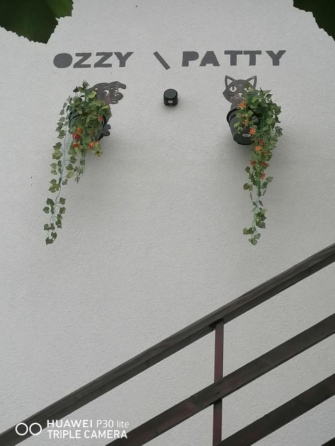 Hotel Casa Ozzy&Patty à Două Mai Extérieur photo